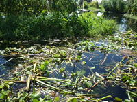 Inle Lake33